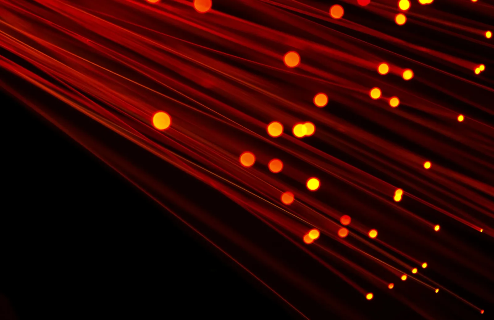 Fibre-optic strands glowing red and orange against a black background.